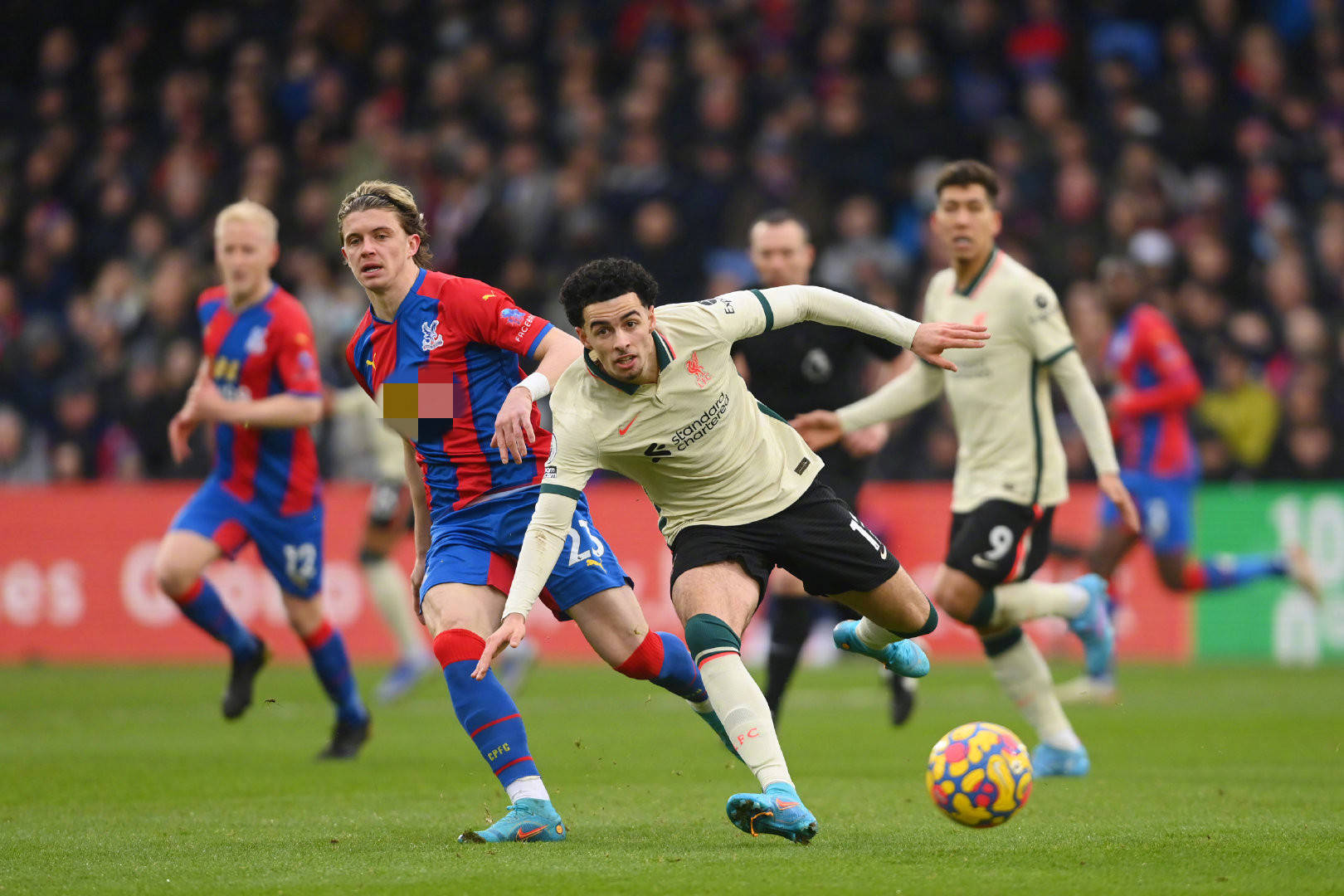 更难能可贵 更难能可贵